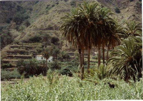 Estudio del hotel Finca Piñero. Foto 5