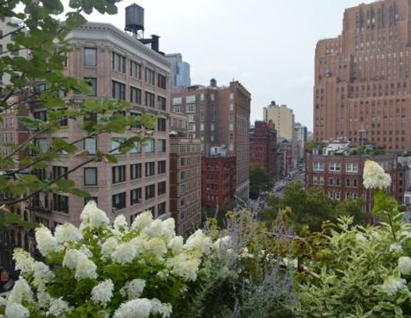 Suite Premier con terraza del hotel Smyth, A Thompson Hotel. Foto 5