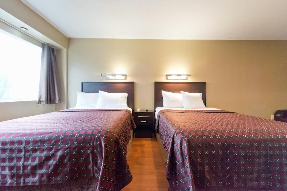 Suite Confort del hotel Super Lake. Foto 3
