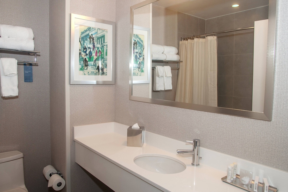 Habitación, 1 cama de matrimonio grande, bañera accesible del hotel Fairfield Inn & Suites Brooklyn. Foto 3