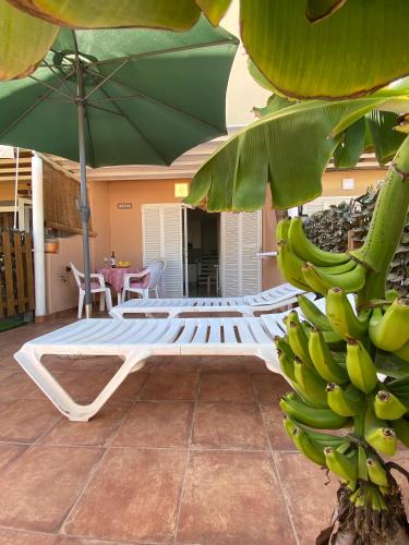 Bungalow del hotel Green Oasis Club. Foto 10