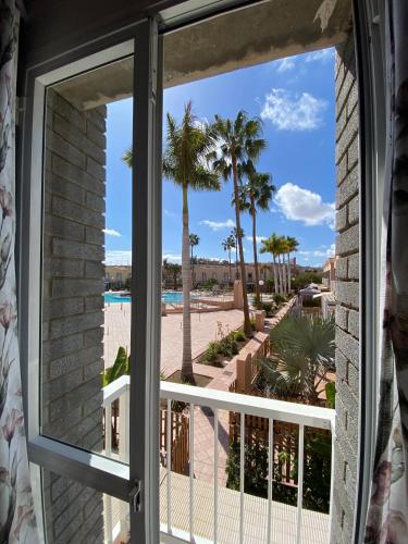 Apartamento de 1 dormitorio del hotel Green Oasis Club. Foto 23