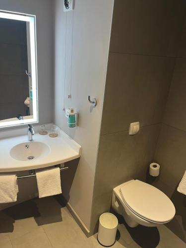 Suite superior para personas con movilidad reducida del hotel Novotel Suites Clermont Ferrand Polydome. Foto 11
