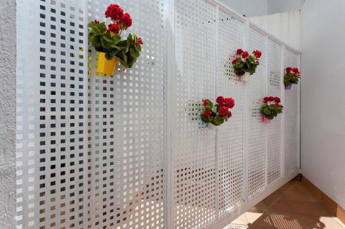 Habitación Doble - 1 o 2 camas del hotel Aacr Museo. Foto 3