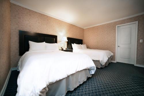 Habitación con 2 camas grandes - Adaptada para personas con discapacidad del hotel Stanford. Foto 2