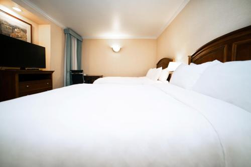 Habitación Doble Deluxe - 1 o 2 camas del hotel Stanford. Foto 3