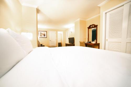 Habitación Superior con cama extragrande del hotel Stanford. Foto 3