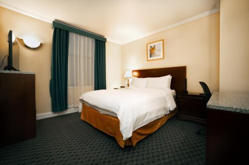 Habitación Superior - 1 cama grande del hotel Stanford