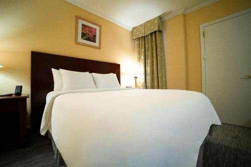 Habitación Deluxe - 1 cama grande del hotel Stanford