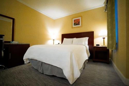 Habitación Deluxe - 1 cama grande del hotel Stanford. Foto 1