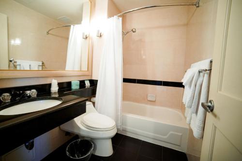 Habitación doble Lujo 1 Cama king Vista ciudad del hotel Stanford. Foto 3