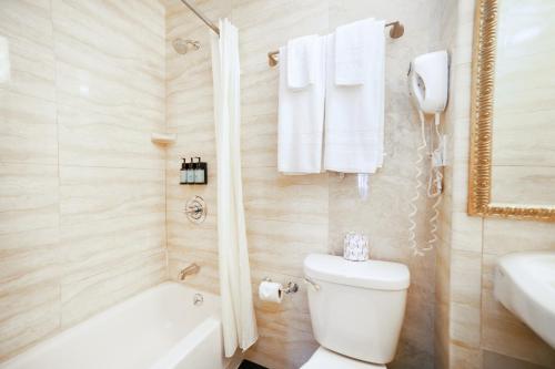 Habitación Individual del hotel Stanford. Foto 1