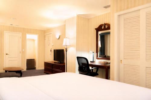 Habitación Superior con cama extragrande del hotel Stanford. Foto 7