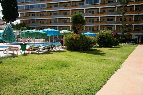 Apartamento de 1 dormitorio del hotel Los Tilos. Foto 15