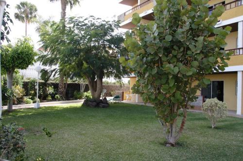 Apartamento de 1 dormitorio del hotel Los Tilos. Foto 18