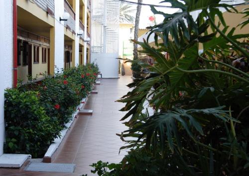 Apartamento de 1 dormitorio del hotel Los Tilos. Foto 16