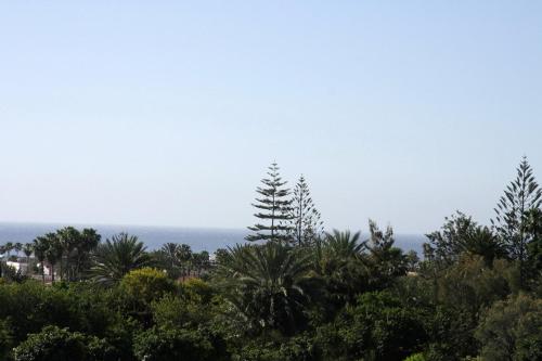 Apartamento de 1 dormitorio del hotel Los Tilos. Foto 20