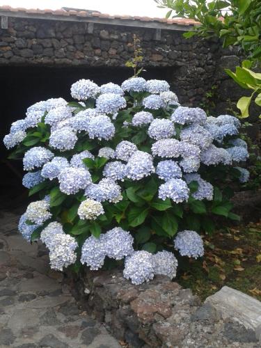 One-Bedroom House del hotel Casa Rural Aborigen Bimbache. Foto 41