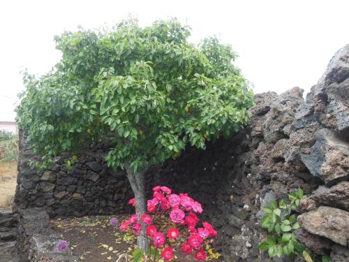 One-Bedroom House del hotel Casa Rural Aborigen Bimbache. Foto 43