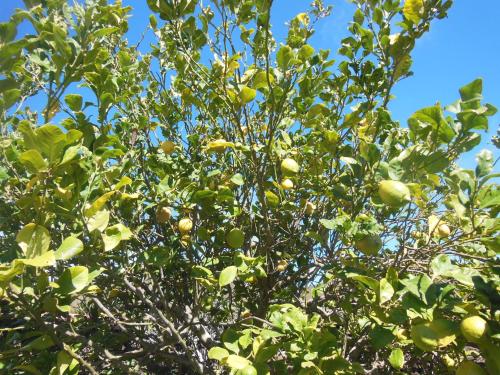 One-Bedroom House del hotel Casa Rural Aborigen Bimbache. Foto 45