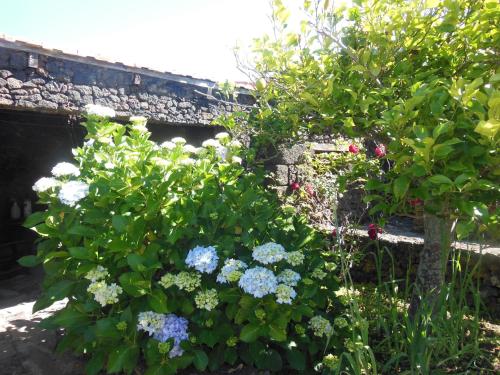 One-Bedroom House del hotel Casa Rural Aborigen Bimbache. Foto 46