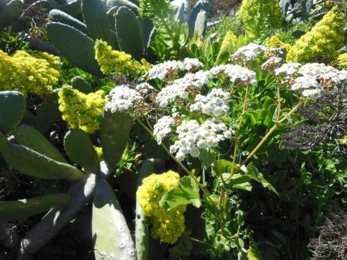 One-Bedroom House del hotel Casa Rural Aborigen Bimbache. Foto 55