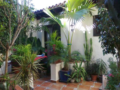 Apartamento de 1 dormitorio con terraza del hotel Monasterio de San Antonio. Foto 1