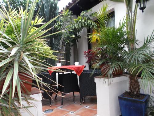 Apartamento de 1 dormitorio con terraza del hotel Monasterio de San Antonio. Foto 17