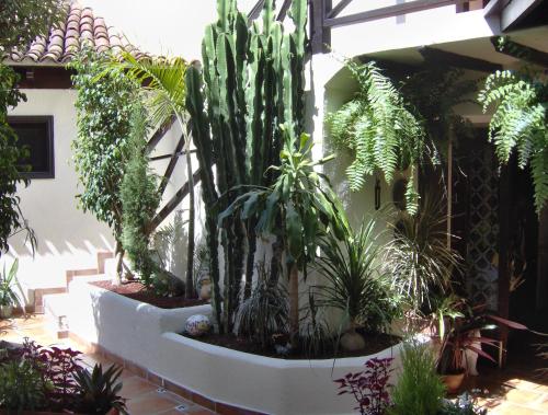 Apartamento de 1 dormitorio con terraza del hotel Monasterio de San Antonio. Foto 19