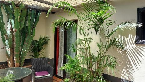 Apartamento de 1 dormitorio con terraza del hotel Monasterio de San Antonio. Foto 22