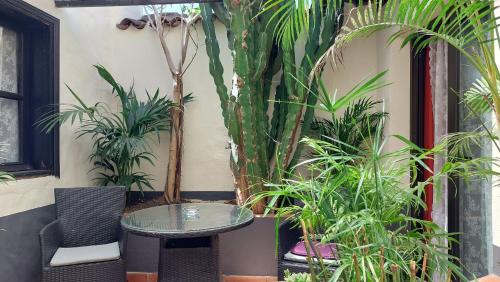 Apartamento de 1 dormitorio con terraza del hotel Monasterio de San Antonio. Foto 24