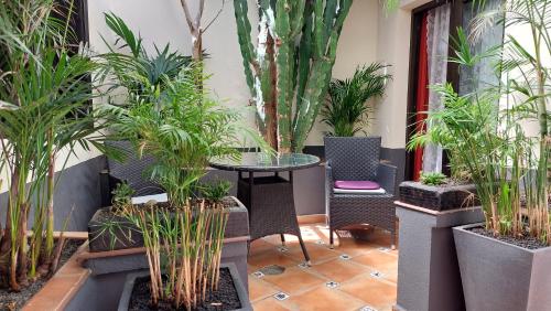 Apartamento de 1 dormitorio con terraza del hotel Monasterio de San Antonio. Foto 25