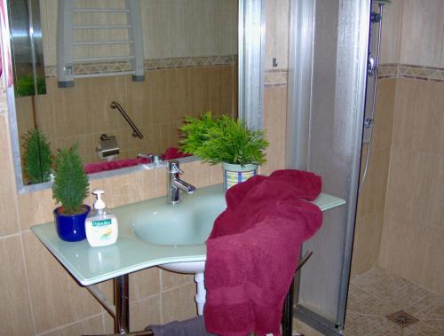 Apartamento n° 6 