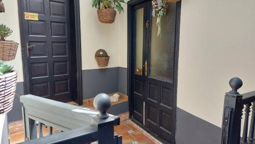 Estudio n° 5 