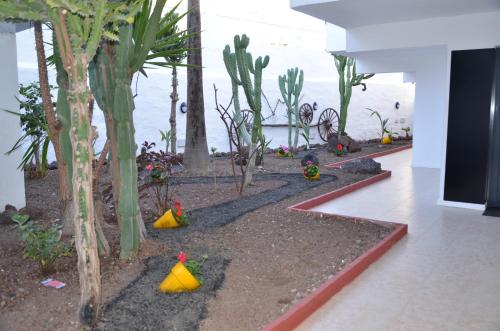 Apartamento del hotel Guatiza. Foto 15