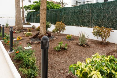 Apartamento del hotel Guatiza. Foto 17