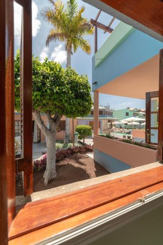 Apartamento familiar con cama extragrande del hotel Club Vista Serena. Foto 3