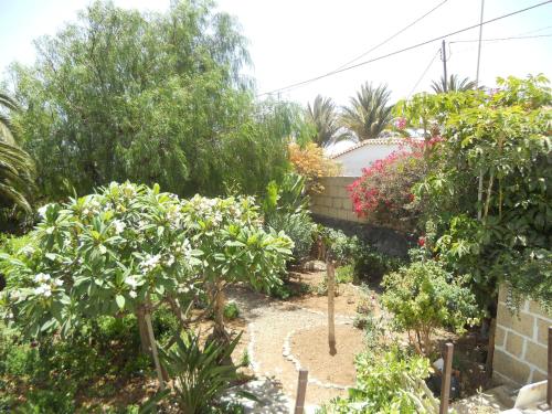 Apartamento de 1 dormitorio del hotel Casa Rural Anton Piche. Foto 2