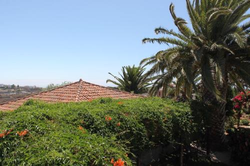 Apartamento de 1 dormitorio del hotel Casa Rural Anton Piche. Foto 25