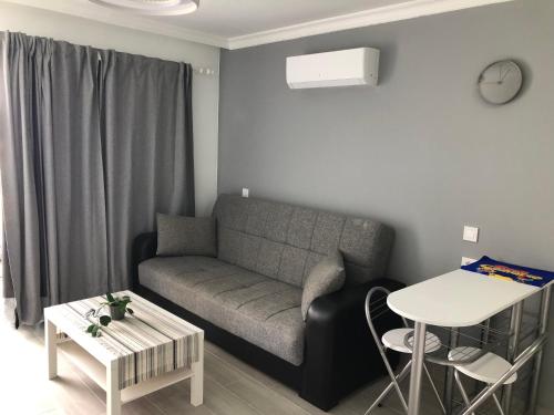 Apartamento de 1 dormitorio del hotel Aloe. Foto 1