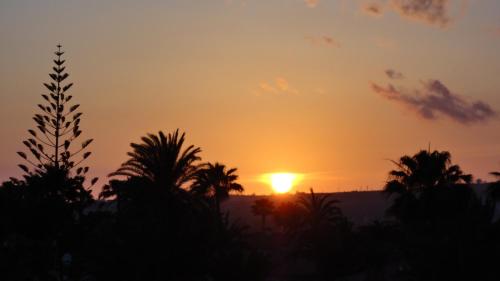 Apartamento de 1 dormitorio del hotel Aloe. Foto 24