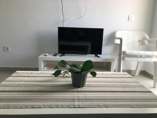 Apartamento de 1 dormitorio del hotel Aloe. Foto 55