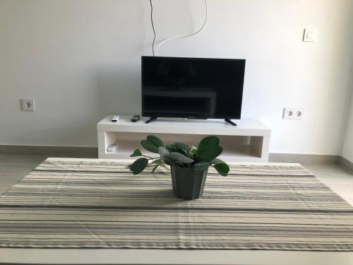 Apartamento de 1 dormitorio del hotel Aloe. Foto 61