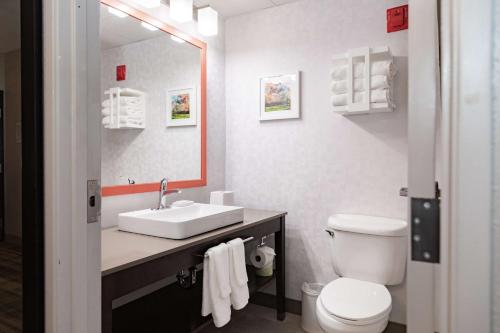 Habitación con cama extragrande y ducha a ras de suelo - Adaptada para personas de movilidad reducida y con discapacidad auditiva del hotel Hampton Inn & Suites Newark Airport Elizabeth. Foto 3