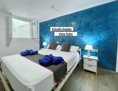 Estudio Dúplex del hotel El Sueño De Alejandra. Foto 1