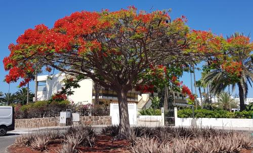 Apartamento de 1 dormitorio del hotel Vip Nogal. Foto 18