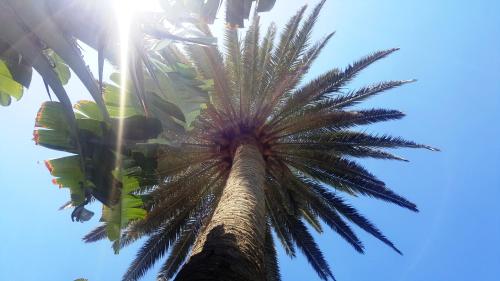 Apartamento de 1 dormitorio del hotel Vip Nogal. Foto 24