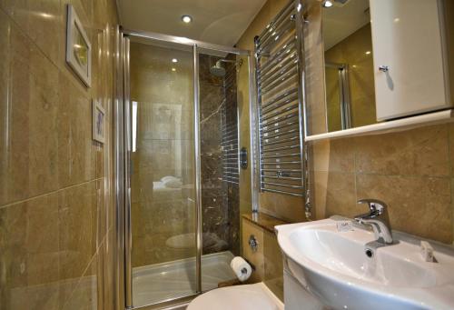 Estudio Sofá Cama incluido 1 Cama doble kitchenette del hotel Hyde Park Apartments. Foto 5
