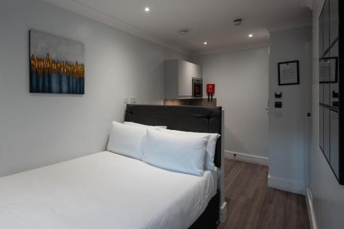 Acogedor estudio doble del hotel MSK Elite. Foto 2