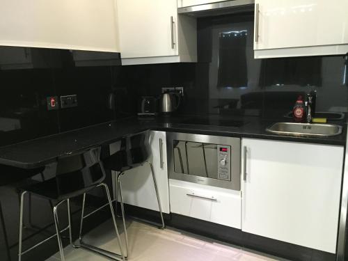 Estudio 1 Cama Individual 1 Cama doble kitchenette del hotel Paddington Apartments